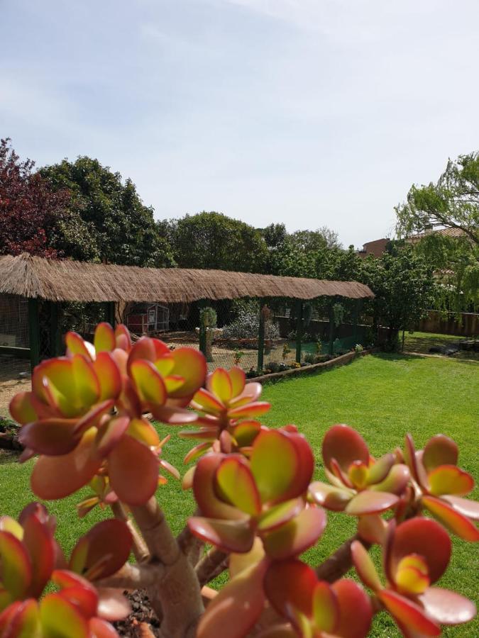 Villa del Remei Vidreres Esterno foto